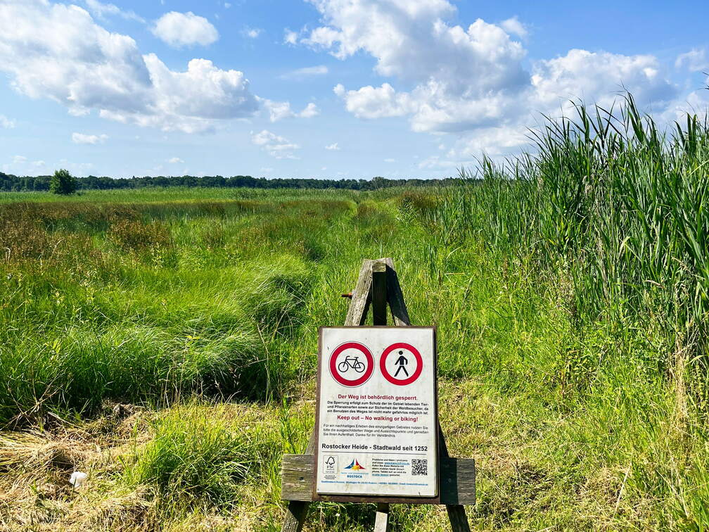 24-06-29 11-01-50 0007